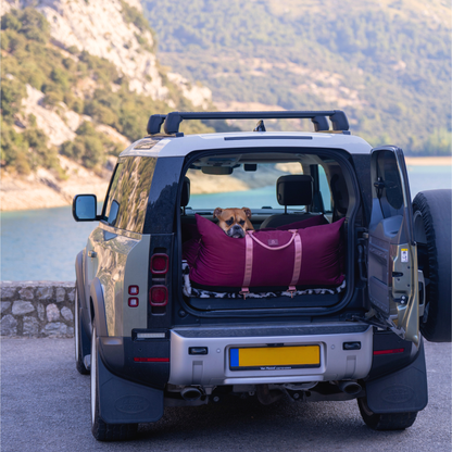 Travel Dog Pod - Rosewood