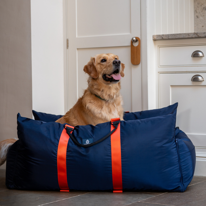 Travel Dog Pod XL