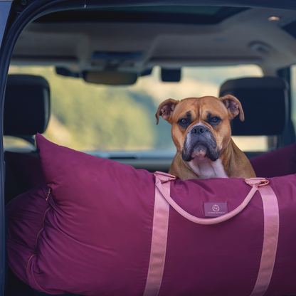 Travel Dog Pod - Rosewood