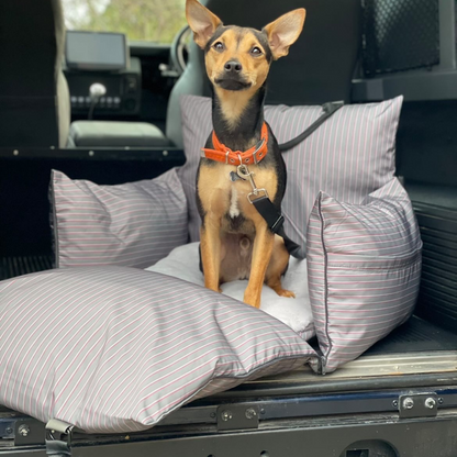 Travel Dog Pod - The Bond Limited Isofix Edition