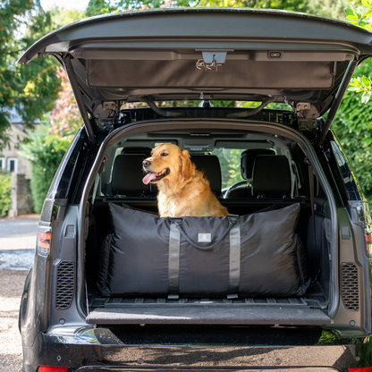 Travel Dog Pod XL