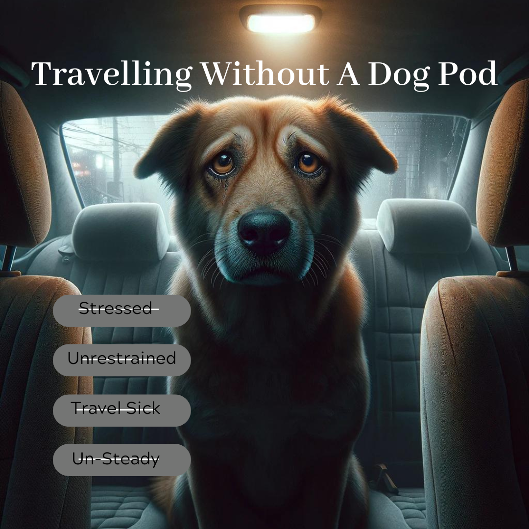 Best Dog Car Seats