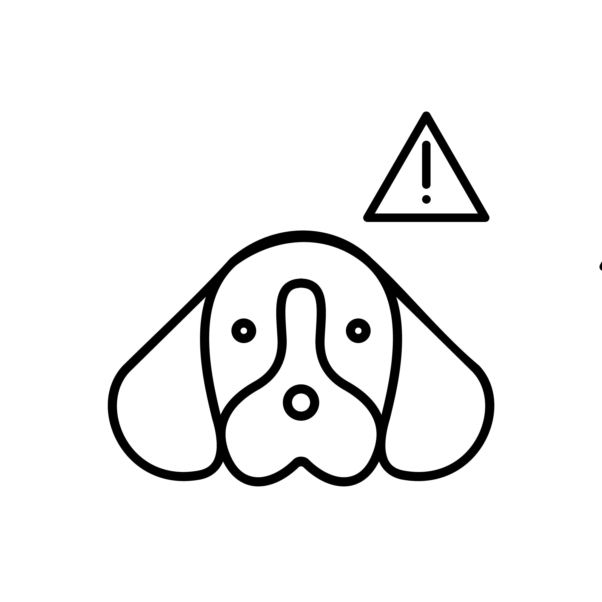 Stop Dog Anxiety Travelling in Car