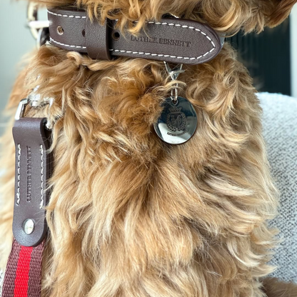 Cooper Collar & Leash Set