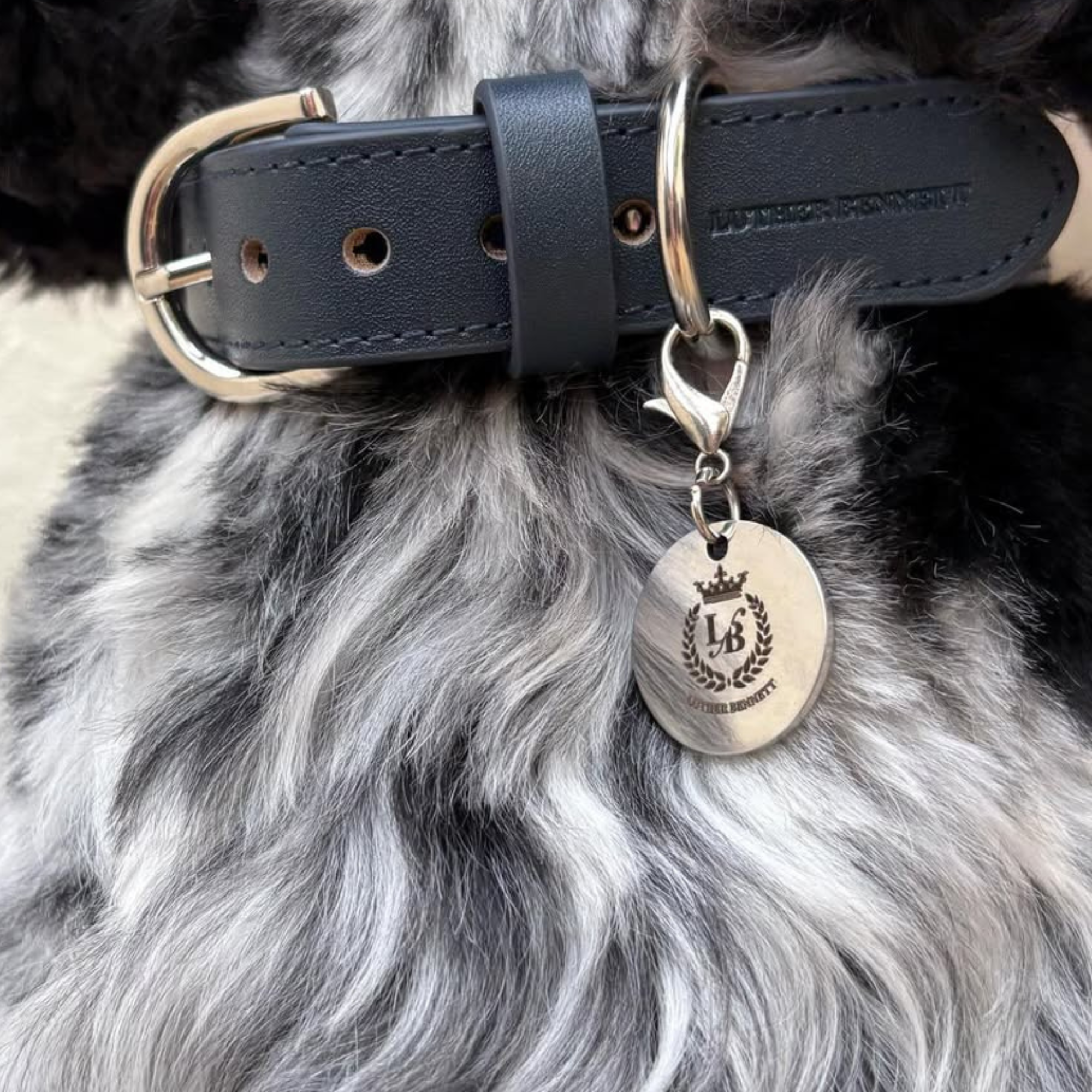 Bentley Collar & Leash Set