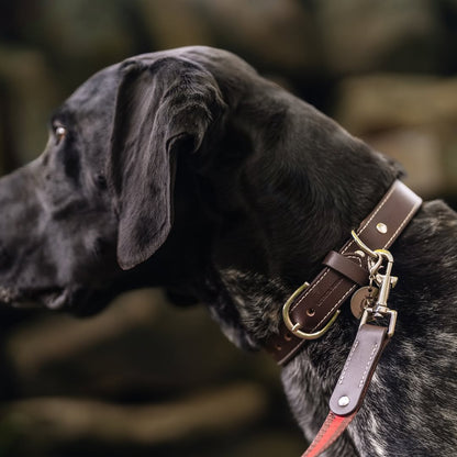 Cooper Collar & Leash Set