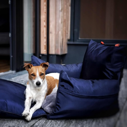 Travel Dog Pod 2.0 - Now With IsoFix