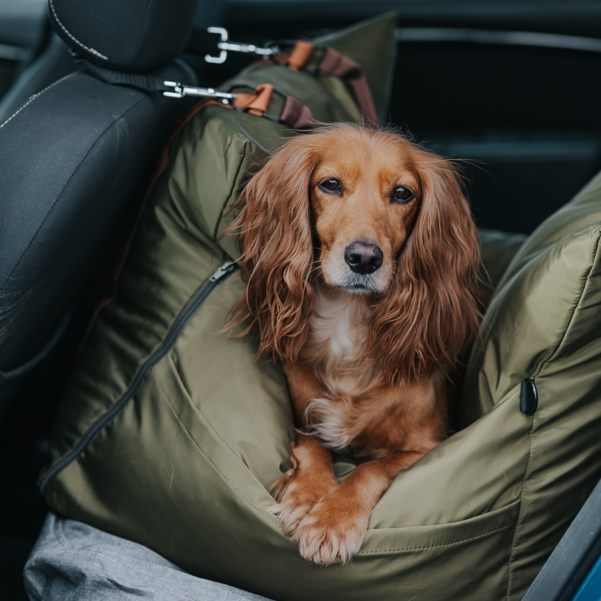 Travel Dog Pod| Dog Car Bed & Travel Seat w/ Isofix Fittings – Luther ...