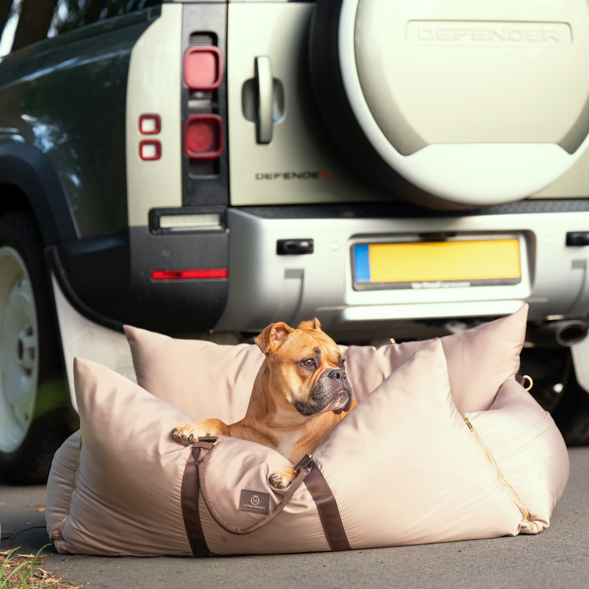 Travel Dog Pod - Hazelnut