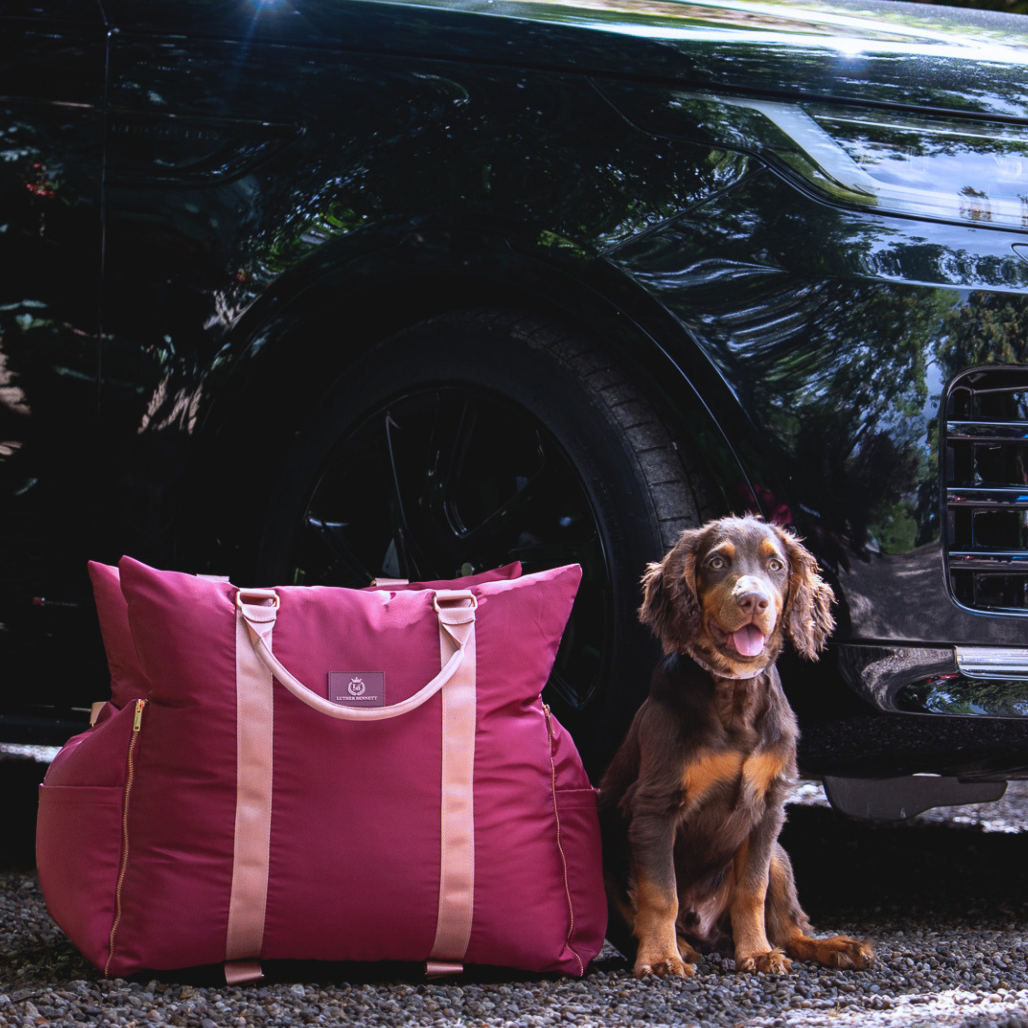 Travel Dog Pod - Rosewood