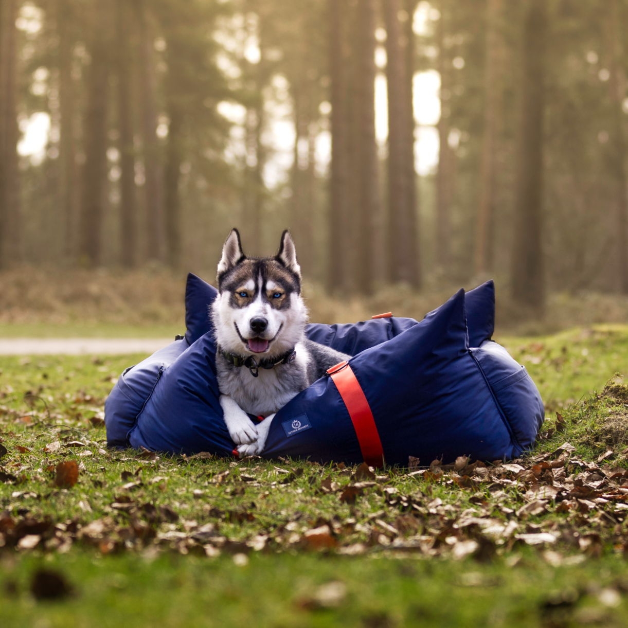XL DOG CAR SEAT
