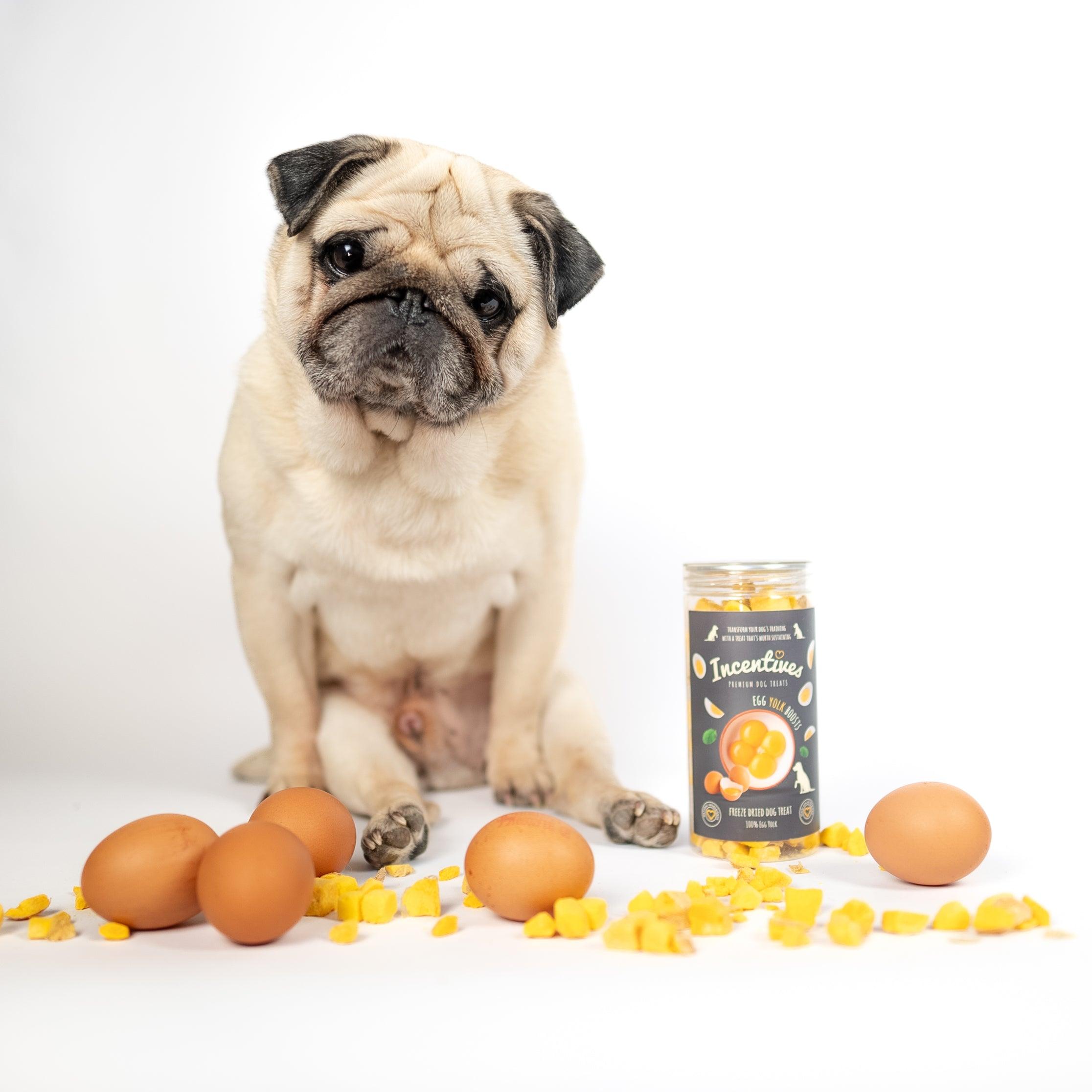Egg Yolk Boosts - Premium Dog Treats - Luther Bennett