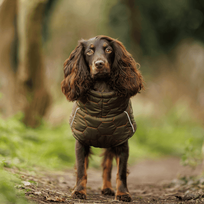 Honey Comb Winter/Spring Water Proof Dog Coat - Luther Bennett