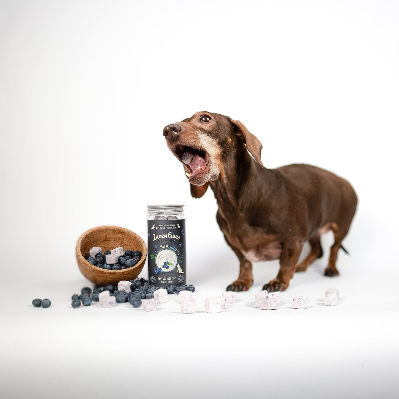 Yoghurt & Berry Boosts - Premium Probiotic Dog Treats