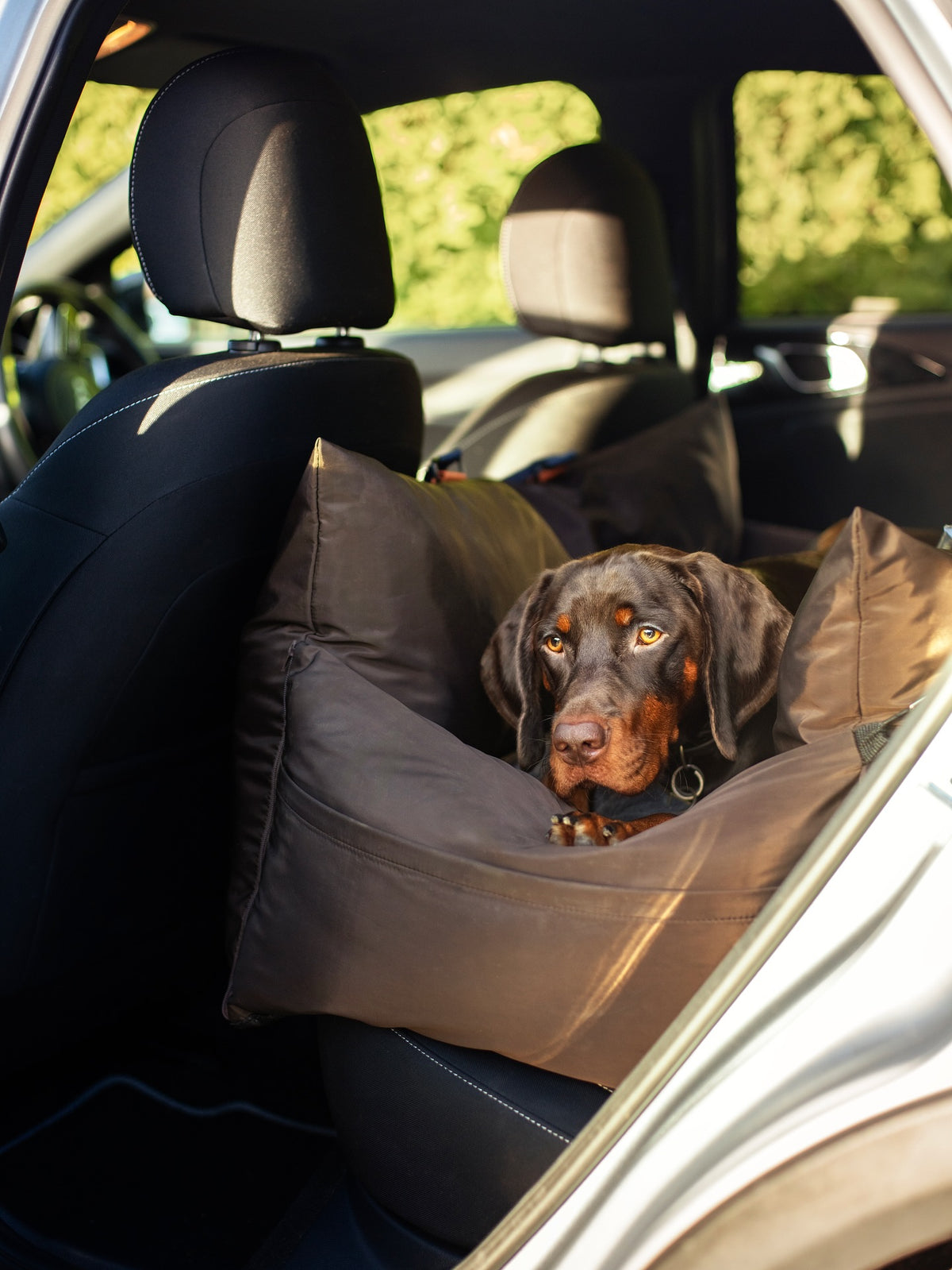 Travel Dog Pod XL
