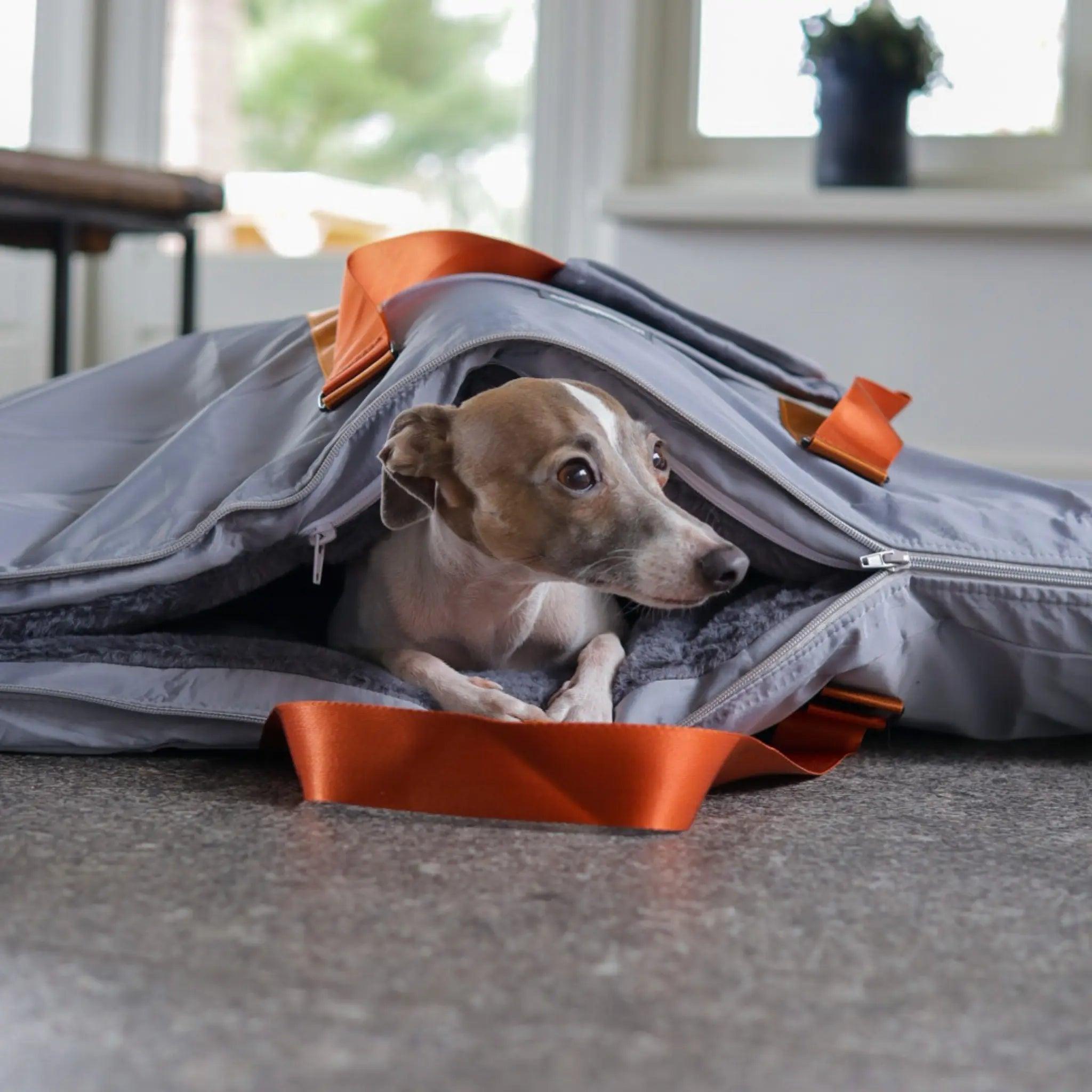 Outdoor Dog Beds Doggie Loungers Dog Settle Mats Comfortable