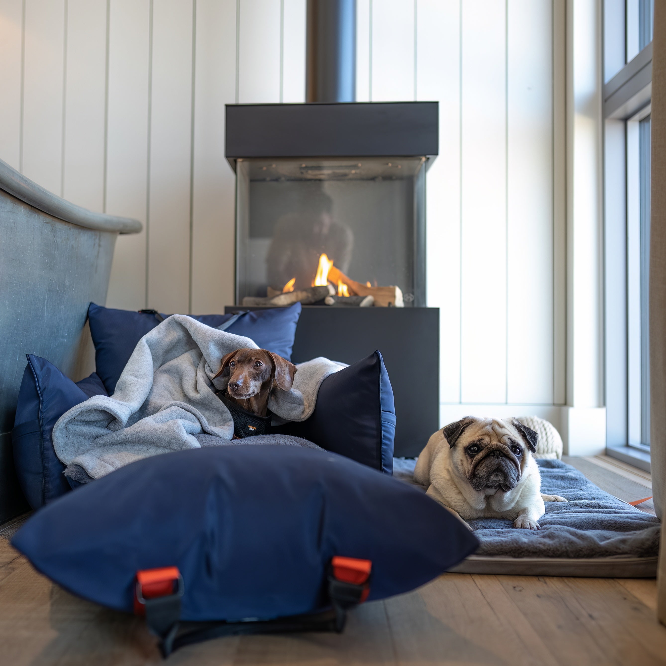 Where To Buy The Best Dog Car Seat