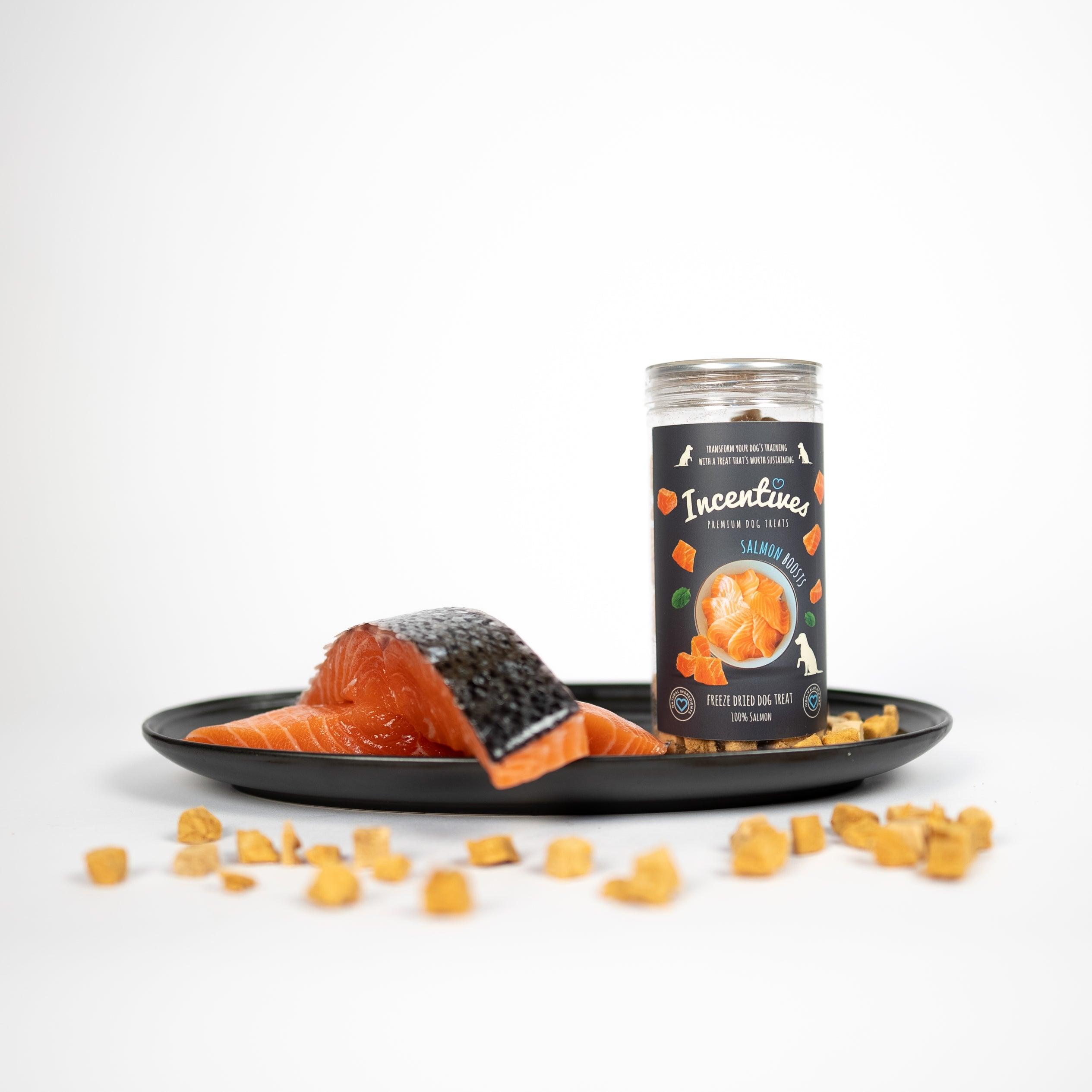 Salmon Boosts - Premium Dog Treats - Luther Bennett