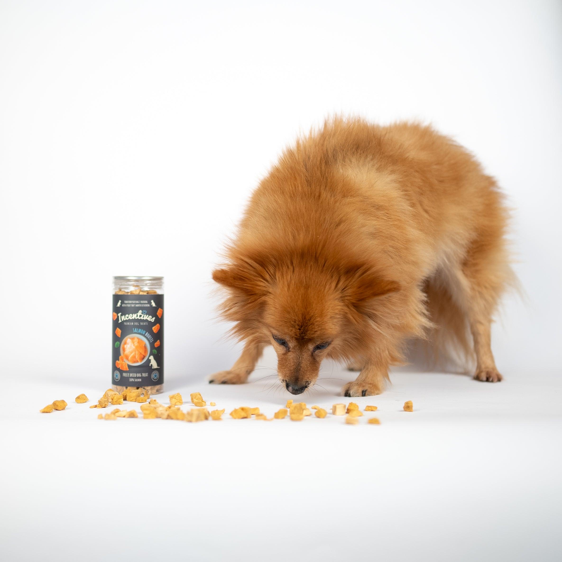 Salmon Boosts - Premium Dog Treats - Luther Bennett