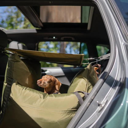 Sunshade - Dog Pod Plus - Luther Bennett