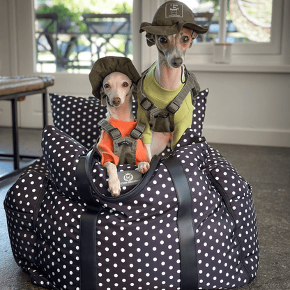 The Monroe - Travel Dog Pod - Luther Bennett