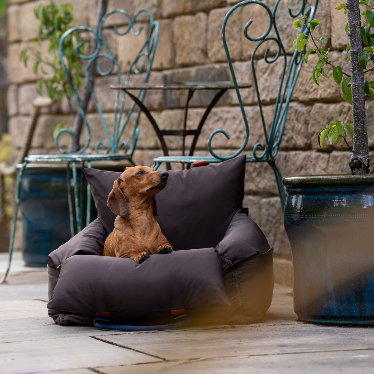 Coffee Travel Dog Pod, Classic