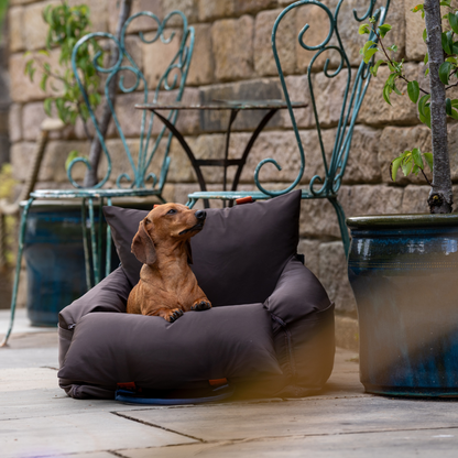 Coffee Travel Dog Pod, Classic