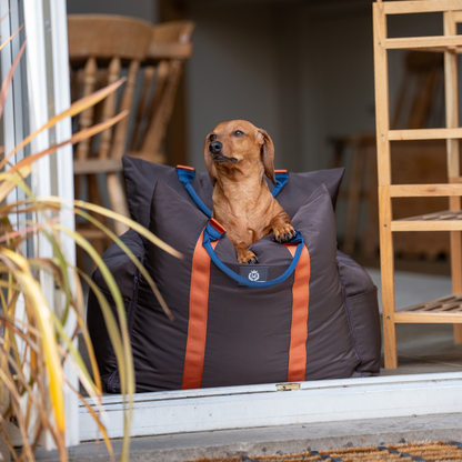 Coffee Travel Dog Pod, Classic