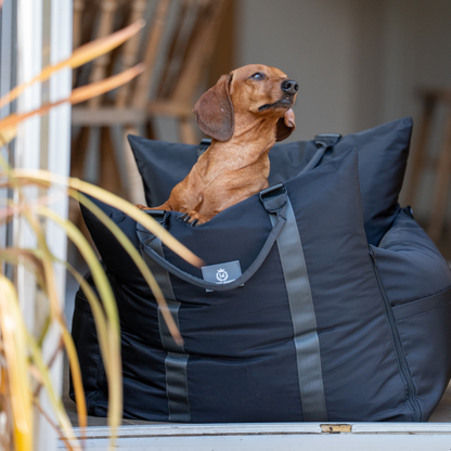 Diesel Travel Dog Pod, Classic