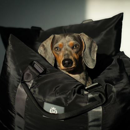 Diesel Travel Dog Pod, Classic
