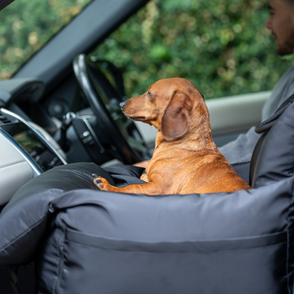 Diesel Travel Dog Pod, Classic