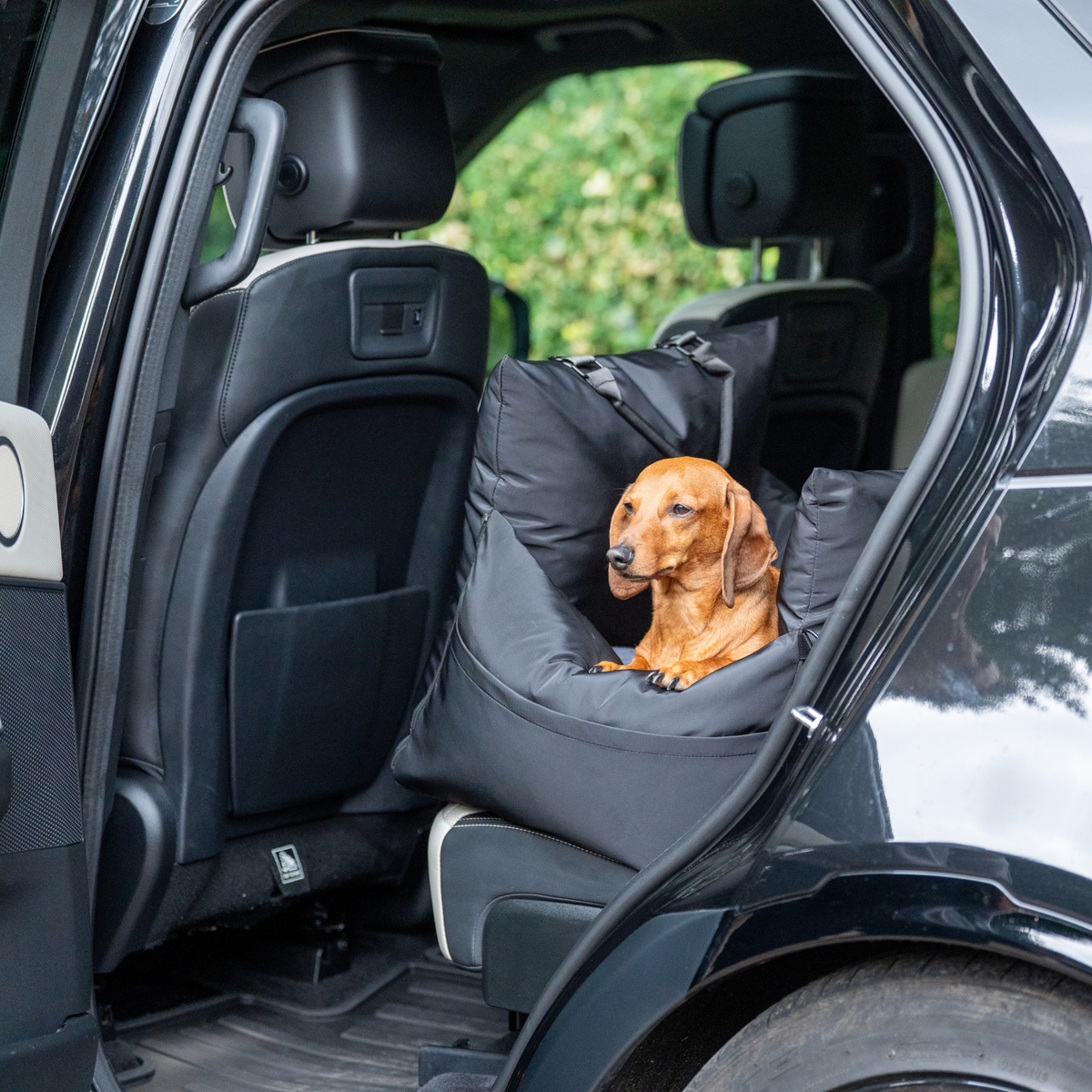 Diesel Travel Dog Pod, Classic
