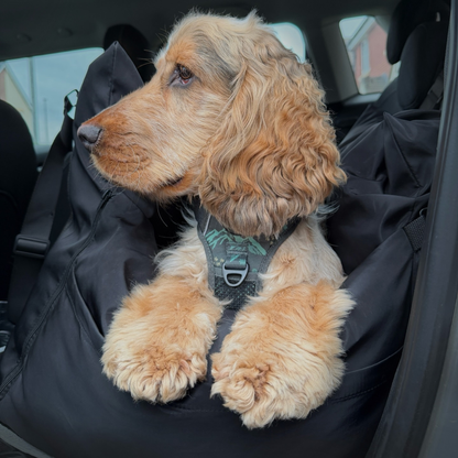 Diesel Travel Dog Pod, Classic