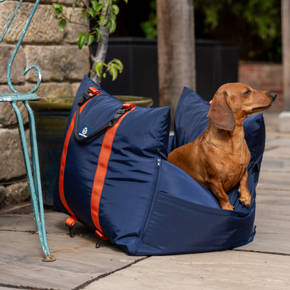 Midnight Travel Dog Pod, Classic