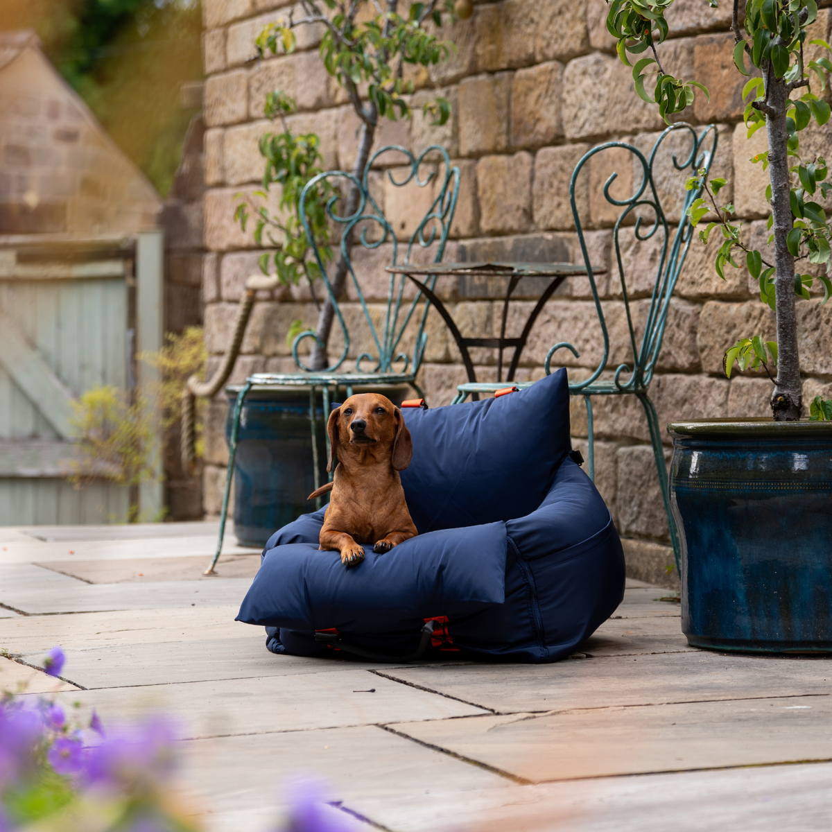 Midnight Travel Dog Pod, Classic