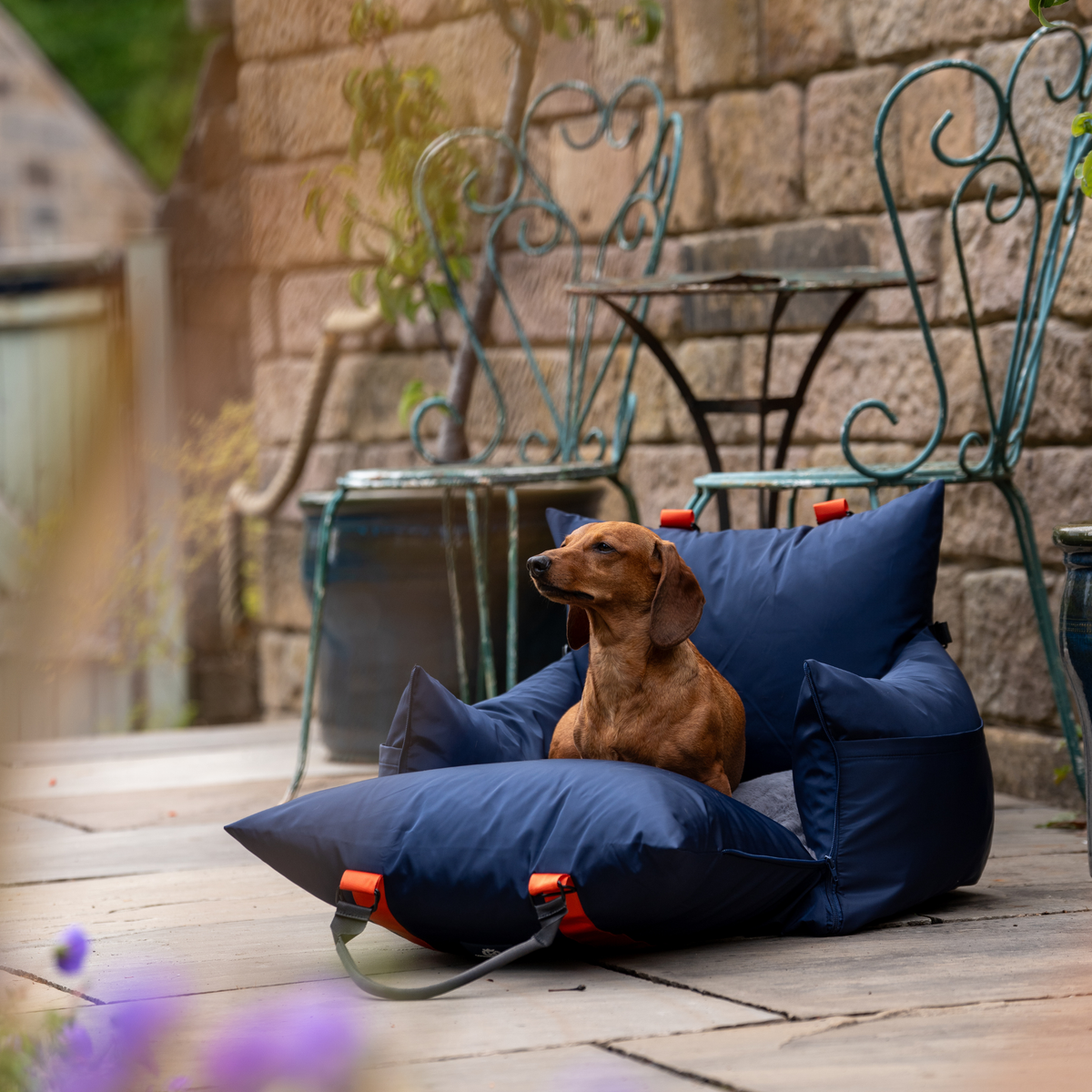 Midnight Travel Dog Pod, Classic