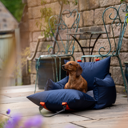 Midnight Travel Dog Pod, Classic