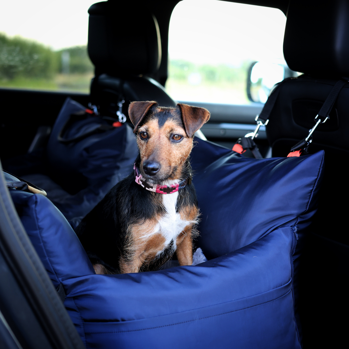 Midnight Travel Dog Pod, Classic