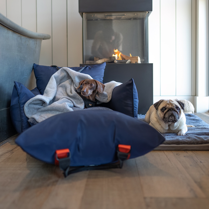 Midnight Travel Dog Pod, Classic