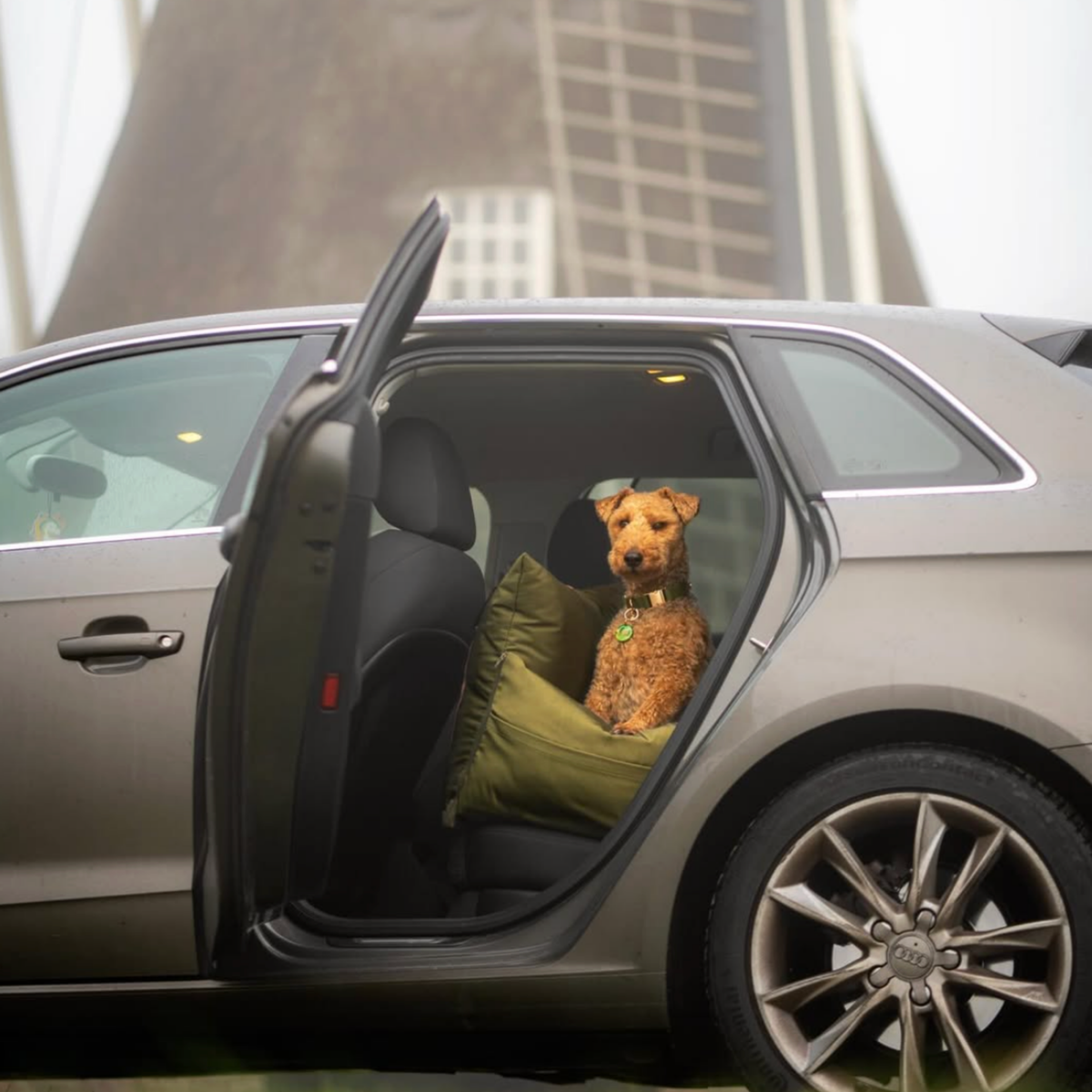 Olive Travel Dog Pod, Classic