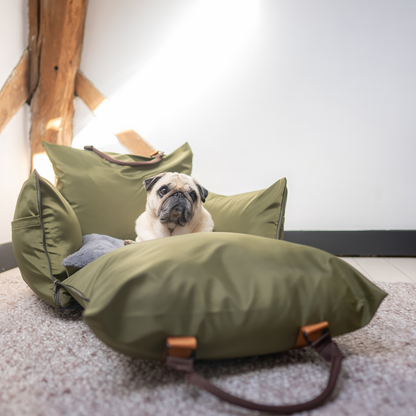 Olive Travel Dog Pod, Classic