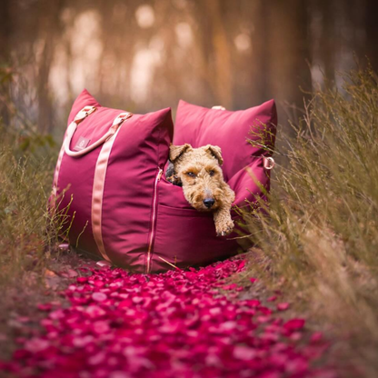 Rosewood Travel Dog Pod, Classic