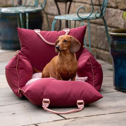 Rosewood Travel Dog Pod, Classic