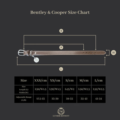 Bentley Collar & Leash Set