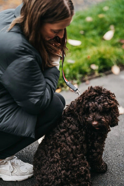 Bentley Collar & Leash Set - Luther Bennett