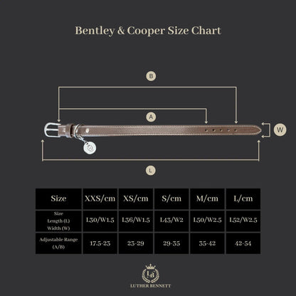 Bentley Collar & Leash Set - Luther Bennett